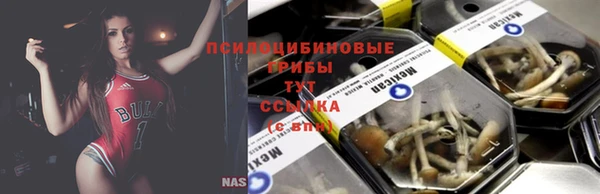 сатива Алексин