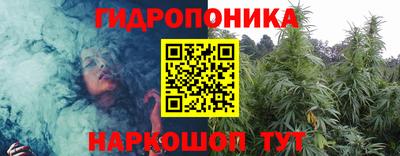 spice Краснознаменск