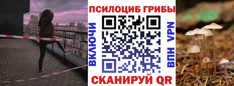 Галлюциногенные грибы мицелий  где продают наркотики  Лесной 