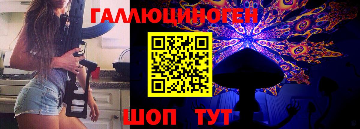 Галлюциногенные грибы прущие грибы  Вход с VPN  Лесной  Галлюциногенные грибы Cubensis 