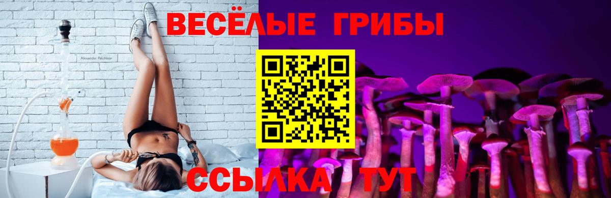 Галлюциногенные грибы MAGIC MUSHROOMS Лесной